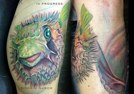 Sorin Gabor - In progress color realistic blowfish tattoo on leg